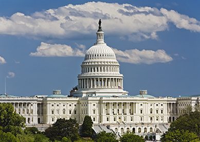 Image of the U.S. Capitol Building